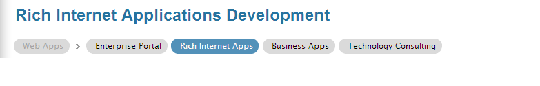 Rich Internet Applications Development