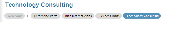 Technology Consulting